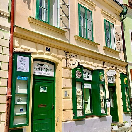 Apartament Apartman Galant Czeski Krumlow Zewnętrze zdjęcie